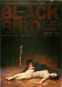 20090718_blackbird.jpg