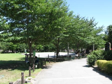 20090726_persimmon_park.JPG